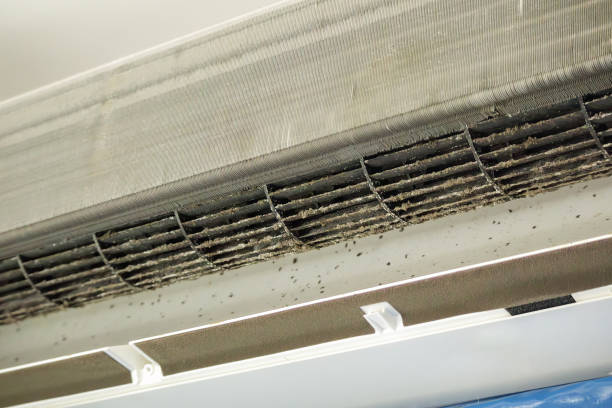 Best HVAC System Cleaning  in Madison Park, NJ